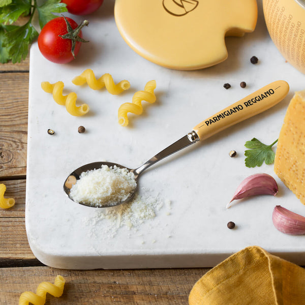Ceramic and Stainless steel Cheese Spoon